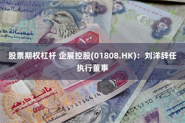 股票期权杠杆 企展控股(01808.HK)：刘洋辞任执行董事