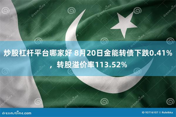 炒股杠杆平台哪家好 8月20日金能转债下跌0.41%，转股溢价率113.52%