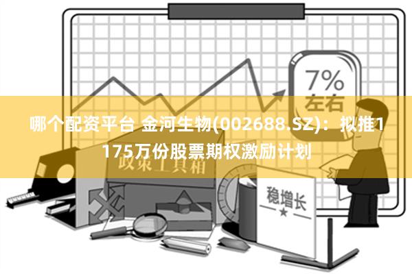 哪个配资平台 金河生物(002688.SZ)：拟推1175万份股票期权激励计划