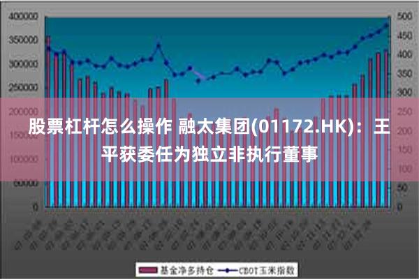 股票杠杆怎么操作 融太集团(01172.HK)：王平获委任为独立非执行董事