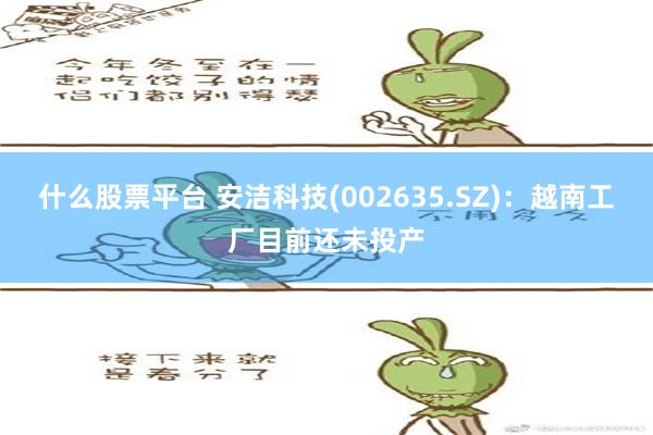 什么股票平台 安洁科技(002635.SZ)：越南工厂目前还未投产