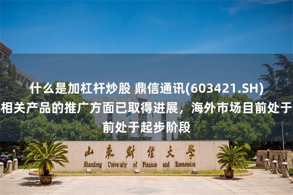 什么是加杠杆炒股 鼎信通讯(603421.SH)：在光伏相关产品的推广方面已取得进展，海外市场目前处于起步阶段