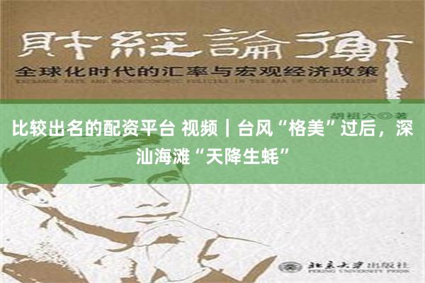 比较出名的配资平台 视频｜台风“格美”过后，深汕海滩“天降生蚝”