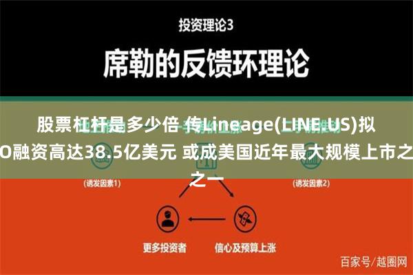 股票杠杆是多少倍 传Lineage(LINE.US)拟IPO融资高达38.5亿美元 或成美国近年最大规模上市之一