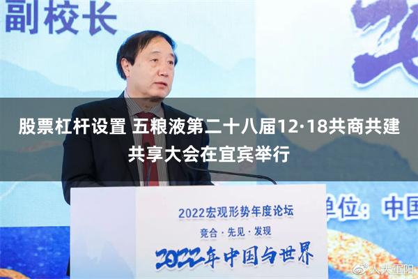 股票杠杆设置 五粮液第二十八届12·18共商共建共享大会在宜宾举行