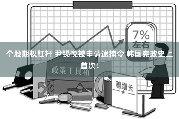 个股期权杠杆 尹锡悦被申请逮捕令 韩国宪政史上首次！