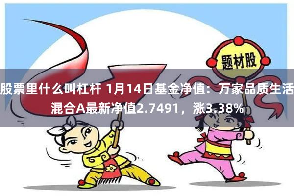 股票里什么叫杠杆 1月14日基金净值：万家品质生活混合A最新净值2.7491，涨3.38%