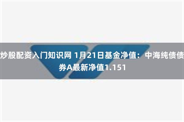 炒股配资入门知识网 1月21日基金净值：中海纯债债券A最新净值1.151