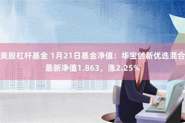 美股杠杆基金 1月21日基金净值：华宝创新优选混合最新净值1.863，涨2.25%