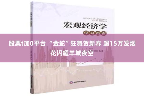 股票t加0平台 “金蛇”狂舞贺新春 超15万发烟花闪耀羊城夜空