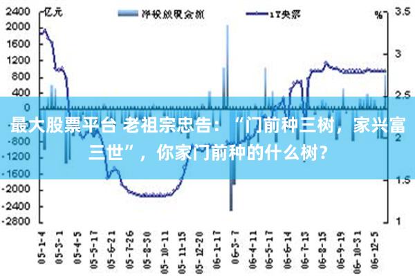 最大股票平台 老祖宗忠告：“门前种三树，家兴富三世”，你家门前种的什么树？